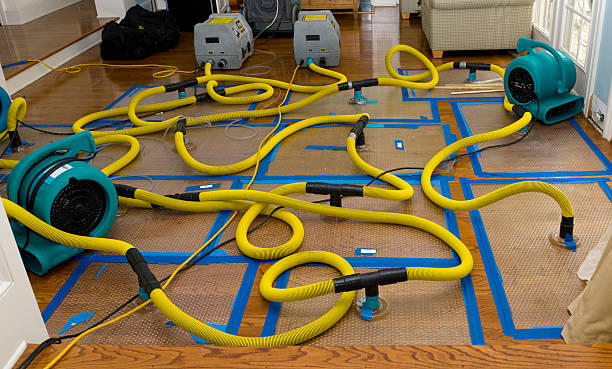 Professional Water Damage Restoration technician working in East Boston, MA